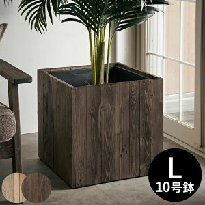 v^[Jo[ Ebhv^[{bNX Ebhv^[Jo[ XNGA^ LTCY Ci[|bgt O 43.5×43.5cm 43.5cm ؐ 10p Botanique {^j[N  xgi