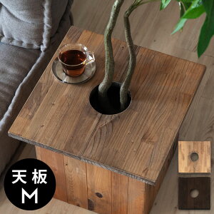 v^[e[u e[uv[g v^[Jo[ ` Jo[ W ӂ t^ V 43.5cm M i` uE Botanique {^j[N ؐ  Ebh Aؔ A e[u TChe[
