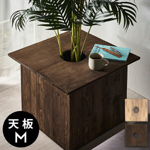 v^[e[u e[uv[g v^[Jo[ ` Jo[ W ӂ t^ V 43.5cm M i` uE Botanique {^j[N ؐ  Ebh Aؔ A e[u TChe[