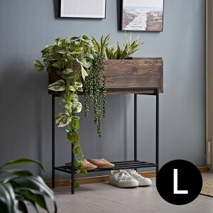 v^[X^h ؐ rt v^[  VFt ACA v^[{bNX  Ebh ` W62.4×D23.5×H71.5 Botanique {^j[N bN X^h Jo[ TChe[u e[