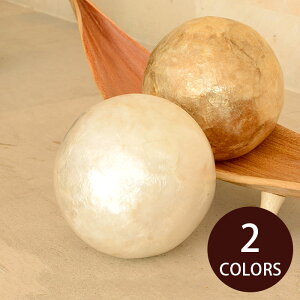 yő2000~N[|z fR[V{[ IuWF CeA{[ a 13.5cm JsXVF Lk eRb^ 2FWJ S[h  zCg  CeAfR[V  I[