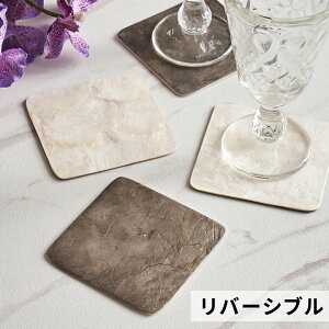 yő500~N[|z R[X^[ JsXVF VF L XNGA lp 1 o[Vu  W 10cm D 10cm H 1cm gC g[ fR[VgC fBXvCgC e[uEGA _C