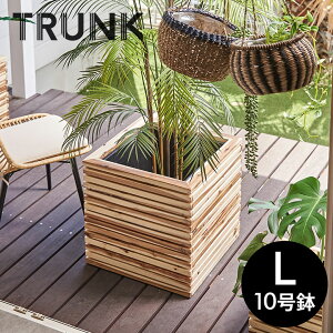 v^[Jo[ v^[{bNX ؐ Ebh VR AJVA LTCY 10p Ci[|bgt ꌊȂ  W 49.5cm D 49.5cm H 50.5cm ` Jo[ AؔJo[ eX rO TRUNK 