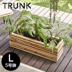 v^[Jo[ v^[{bNX ؐ Ebh VR AJVA LTCY 5p Ci[|bgt ꌊȂ  W 84cm D 26cm H 26.5cm ` Jo[ AؔJo[ eX  rO TRUN