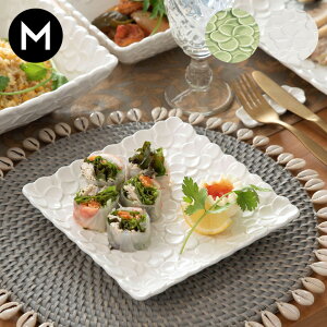 yő2000~N[|z XNGAv[g vA`[t MTCY 17.8cmp zCg 퐻 Franzy tW[ H M M ` pM M M M p[eB ĂȂ JtF 