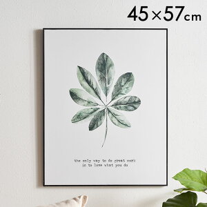 A[gpl _  A[g G [t A[g|X^[ t[t k A[gt[ Vv {^jJ LoXA[g Ǌ| CeA |X^[  45×57cm A 