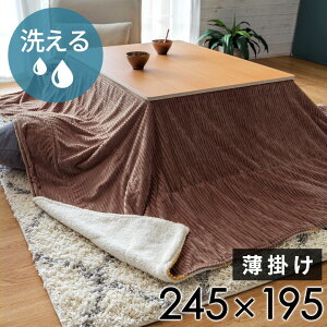 yő2000~N[|z zc ` | 245×195cm R[fC n o[Vu LeBO {A uPbg ѕz  }`Jo[ x[W |zc 􂦂 k 