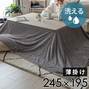 zc ` | 245×195cm R[fC n o[Vu LeBO {A uPbg ѕz  }`Jo[ x[W |zc 􂦂 k  킢 V