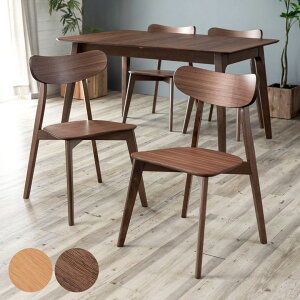 yő2000~N[|z _CjO`FA ؐ EH[ibg ʍ44cm Asteion AXeBI `FA _CjO H֎q ֎q CX VR Ebh 1l| 1P 1lp `FA[ _CjO`F