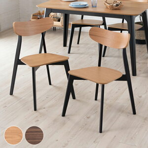 yő2000~N[|z _CjO`FA ؐ EH[ibg ʍ44cm Asteion AXeBI `FA _CjO H֎q ֎q CX VR Ebh 1l| 1P 1lp `FA[ _CjO`F