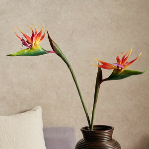 yő2000~N[|z Xg`A  Xg`A gsJ 썑 Ɋy lH ϗtA tFCNt[ ][g AWA nCA fBXvC rO   