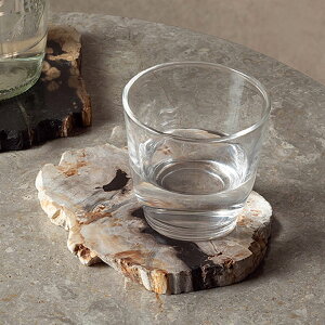 yő2000~N[|z N̎񂾁An̋LB؂̉΂łłۂfR[VgC[Pi](1-14317)