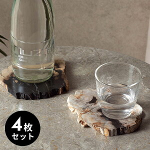 yő2000~N[|z N̎񂾁An̋LB؂̉΂łłۂfR[VgC[4_Zbg](14317)