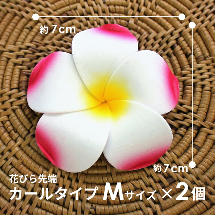 誕生日/お祝い Yesallwas プルメリア 造花 9cm 50個セット 花のみ 白 スポンジ ハンドメイド お花 DIY手作業 結婚式 パーティー用 飾り付け 写真撮影小物 mateo-appartement.de 誕生日/お祝い Yesallwas プルメリア 造花 9cm 50個セット 花のみ 白 スポンジ ハンドメイド お花 DIY手作業 結婚式 パーティー用 飾り付け 写真撮影小物 mateo-appartement.de