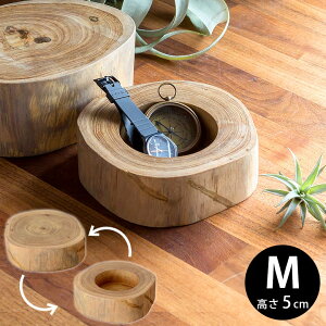 `[NEbh̃o[VugC M-5cm 15.0×5.0cm ؐ gC g[ t[X^h  ԑ ؂芔 i` `[N AWAG  CeA _ LJu ؊ v