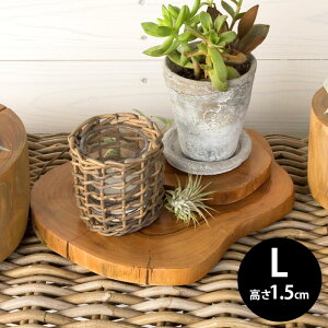 `[NEbh̗֐؂Xe[WgC L-1.5cm 20.0×1.5cm JbeBO{[h ؐ Ebhg[ Ebhv[g EbhgC gC g[ t[X^h  ԑ ؂芔 i`