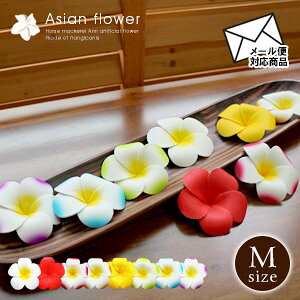 yő500~N[|z vA  Ԃтۃ^Cv X^Cv GRm~[ ][g AWAG nCAG u u tFCN nC AWAG oG AWACe