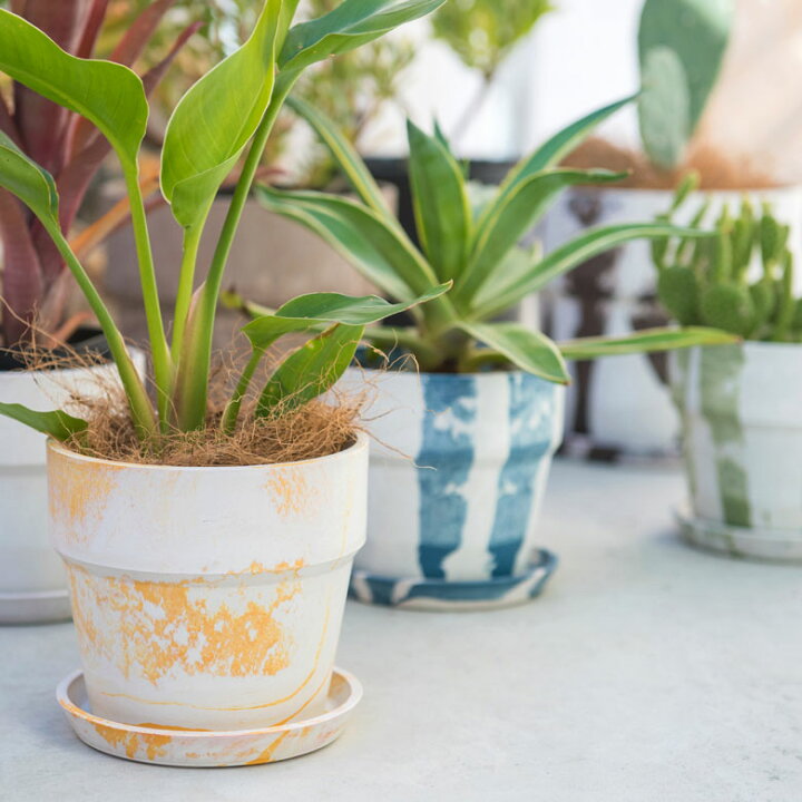 楽天市場 植木鉢 プランツポット 4号鉢 プラスチック マーブル模様 受け皿付き プランター 直径13 5cm 4号 大理石模様 鉢カバー プランターカバー ガーデニング 園芸 花 観葉植物 ベランダ おしゃれ ブラック イエロー ブルー グリーン 底穴あり アジア工房