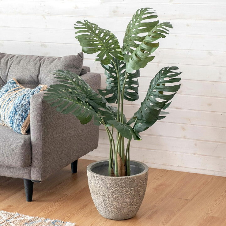 楽天市場】フェイクグリーン モンステラ 高さ 100 cm 鉢付き 観葉植物 