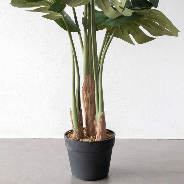 楽天市場 フェイクグリーン モンステラ 高さ 100 Cm 鉢付き 観葉植物 グリーン インテリアグリーン ポット付き ワイヤー入り 針金入り ボタニカル インテリア おしゃれ ナチュラル リビング 寝室 玄関 カフェ 店舗 リゾート アジア工房