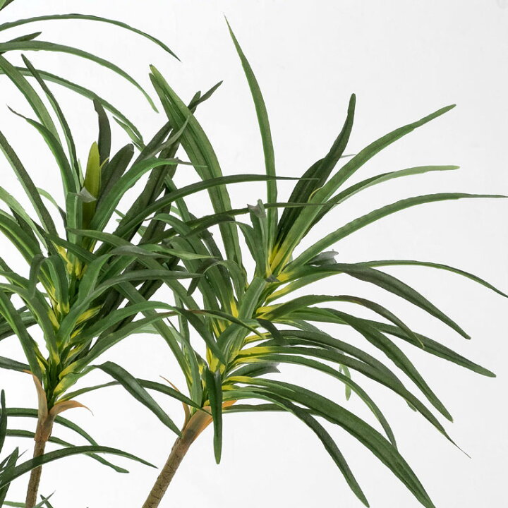 楽天市場 フェイクグリーン ユッカ 高さ 90cm 鉢付き 観葉植物 グリーン アーティフィシャルプランツ フェイクプランツ ポット付き ボタニカル インテリア おしゃれ ナチュラル リビング 寝室 玄関 カフェ 店舗 リゾート アジア工房 楽天市場 フェイクグリーン ユッカ 高さ 90cm 鉢付き 観葉植物 グリーン アーティフィシャルプランツ フェイクプランツ ポット付き ボタニカル インテリア おしゃれ ナチュラル リビング 寝室 玄関 カフェ 店舗 リゾート アジア工房