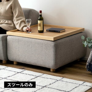 Xc[ Ibg} lp O[ lCr[ rt 80cm s80cm 41cm t@ubN \t@ ֎q  CX [\t@ 2WAY R[i[ e[u Ƌ tA CeA rO ڊ \