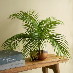 tFCNO[ p[[t  46cm ϗtA O[ A[eBtBVt[ A[gt[  A[gvc fBXvC  i` {^jJ GXjbN 