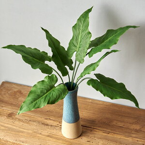 yő2000~N[|z tFCNO[ J[ ϗtA  O[CeA O[ A ubV^Cv  ][gCeA tFCN A[eBtBVvc 