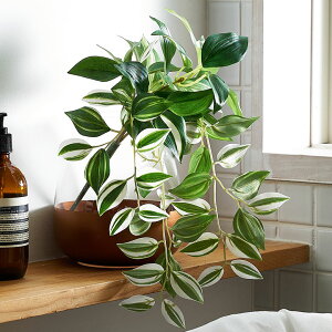 tFCNO[ gfBXJeBA ϗtA  O[CeA A ubV^Cv  ][gCeA tFCN A[eBtBVvc CeAG I