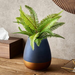 p[t@[ubV p[[t  A[eBtBVO[ tFCNO[  35cm A[gvc CeA ϗtA A t R[fBl[g t[AWg 