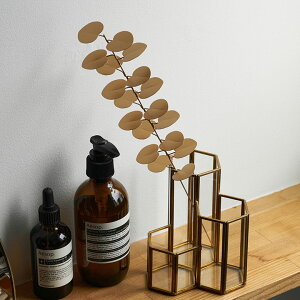 yő500~N[|z tFCNO[ [J }   W 7cm D 6cm H 32cm uL S[h   fR[V A`[t {^jJ  Vv 킢 NX}XfR