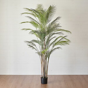 yő2000~N[|z tFCNO[ V p[c[  180cm ϗtA O[ A[eBtBVvc tFCNvc  A[gO[ fBXvC i` 5