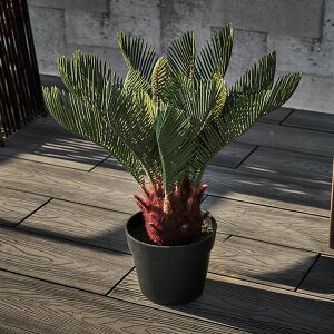 yő500~N[|z tFCNO[ \ec  47cm ϗtA O[ A[eBtBVvc tFCNvc lHϗtA  A[gO[ fBXvC IuWF i`