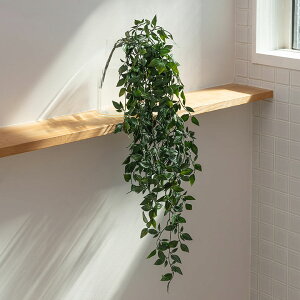 yő2000~N[|z tFCNO[ tBJX  82cm ϗtA O[ t[  A[eBtBVvc tFCNvc A [t  A[gO[ fBXvC 