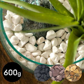 【最大500円クーポン】 マルチングストーン 天然石 600g 化粧石 飾り石 ホワイト ブラック ゴールド レッド カバーストーン 鉢土隠し カラーストーン 植物 グリーン フラワー 花 デコレーション ディスプレイ オブジェ リビング 玄関 リゾート おしゃれ 北欧[94769]