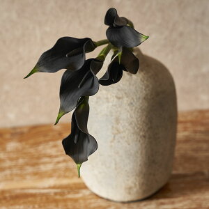  tFCNt[ A[eBtBVt[ }t A[gt[ J[[ ubN ϗtA 36cm lH ϗt A tFCN  lHϗtA t[AWg 