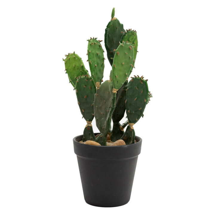楽天市場 フェイクグリーン 造花 サボテン 観葉植物 鉢植え インテリアグリーン 多肉植物 ウチワサボテン 30cm ポット かっこいい おしゃれ 907 アジア工房 楽天市場 フェイクグリーン 造花 サボテン 観葉植物 鉢植え インテリアグリーン 多肉植物 ウチワサボテン 30cm ポット かっこいい おしゃれ 907 アジア工房