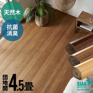 y EbhJ[ybg cn 4.5p 243×245cm TU-90V[Y 1^Cv z} RۉH VR t[O  DIY tH[ t[OJ[ybg ؐ 4.5 4 a [