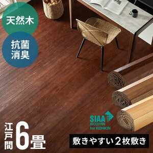 �y�� �E�b�h�J�[�y�b�g �]�ˊ�6���p ��260×350cm TU-90�V���[�Y 2����^�C�v ��z���}���� �R�ۉ��H �V�R�� �t���[�����O �� DIY ���t�H�[�� �t���[�����O�J�[�y�b�g �t���[�����O�}�b�g �E�b�h