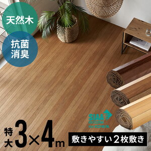 yő500~N[|z yʃEbhJ[ybg TCY 300×400cm TU-90V[Y 2^Cv z} RۉH VR t[O  DIY tH[ t[OJ[ybg ؐ t