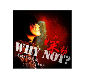 董非&#22958; / 《Why Not？》（燥動） (CD) 台湾盤　Phoenix Dong　フェニックス・トン