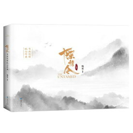 陳情令原畫影像紀念特典 中国版　The Untamed　楊夏　まどうそし　魔道祖師　無羈 設定集　原画集　写真集　ビジュアルブック　設定資料集　公式　中国書籍