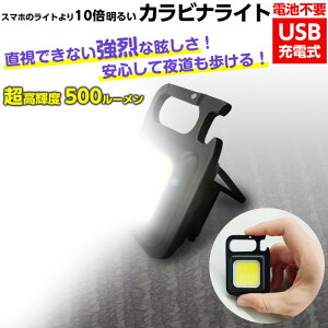 COB LED Jri Cg L[z_[ USB[d 500[ drsv yhdl hЃCg Lv 񔲂 yʏ^ ͌ ЊQ΍ AEghA