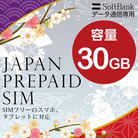 プリペイドsim プリペイド sim card 日本 softbank プリペイド simカード 通信量確認 30GB マルチカットsim MicroSIM NanoSIM ソフトバンク simフリー端末