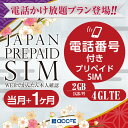 プリペイドsim SIMカード プリペイド プリペイドSIMカード SIM カード card 日本 docomo ドコモ 通話付き 音声付き 通…