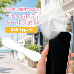 �ySS����|�C���g5�{�z�������� �n���f�B�t�@�� �������� �L�����N�^�[ �O�b�Y �X�}�z ��@ USB type C �R�l�N�^ �[�q �Ή� iPhone Android �� ���� �M���� �΍� �v���y��