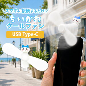 �ySS����|�C���g5�{�z�������� �n���f�B�t�@�� �n�`���� �L�����N�^�[ �O�b�Y �X�}�z ��@ USB type C �R�l�N�^ �[�q �Ή� iPhone Android �� ���� �M���� �΍� �v���y��