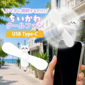 �ySS����|�C���g5�{�z�������� �n���f�B�t�@�� �������K �L�����N�^�[ �O�b�Y �X�}�z ��@ USB type C �R�l�N�^ �[�q �Ή� iPhone Android �� ���� �M���� �΍� �v���y��
