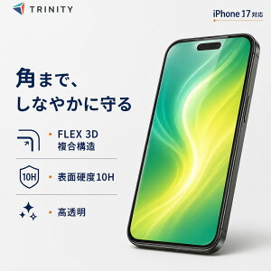 iPhone17 �K���X�t�B���� ������ �S�����K���X 10H �t���J�o�[ Simplism FLEX 3D ��U�h�~ �N���A �u���b�N TR-IP25M2-G3-GOCCBK 4582269583044 �g���j�e�B �t���ی�t�B���� ��ʕی�t�B���� �X�N���[���v��