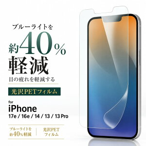 iPhone 17e / iPhone 16e / iPhone 14 / iPhone 13 / iPhone 13 Pro �ی�t�B���� �u���[���C�g�J�b�g ���� �w��h�~ �Ռ��z�� �R�� �t���ی�t�B���� ��ʕی�t�B���� ���C�A�E�g RT-P50F/DM �ی�t�B���� �t����